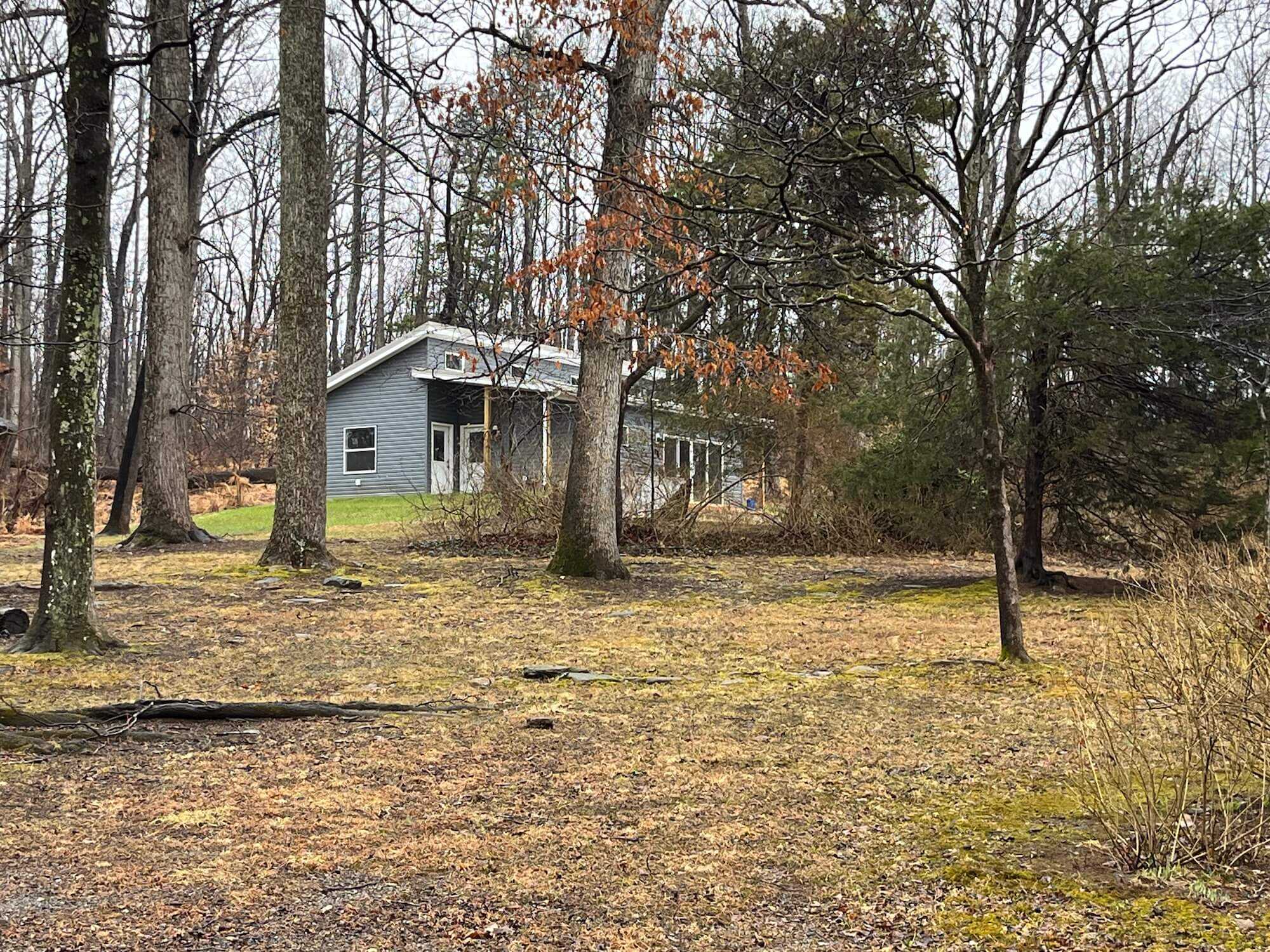 Dillwyn VA 1200 Contemporary finished front yard with trees