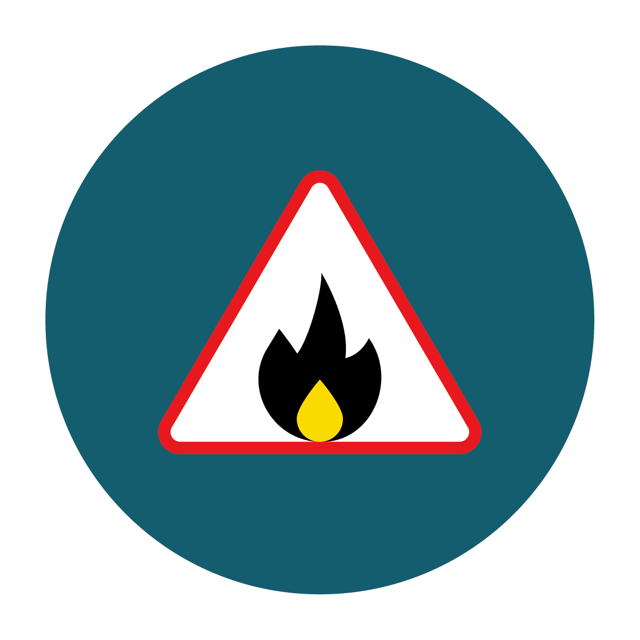 Safety Icon