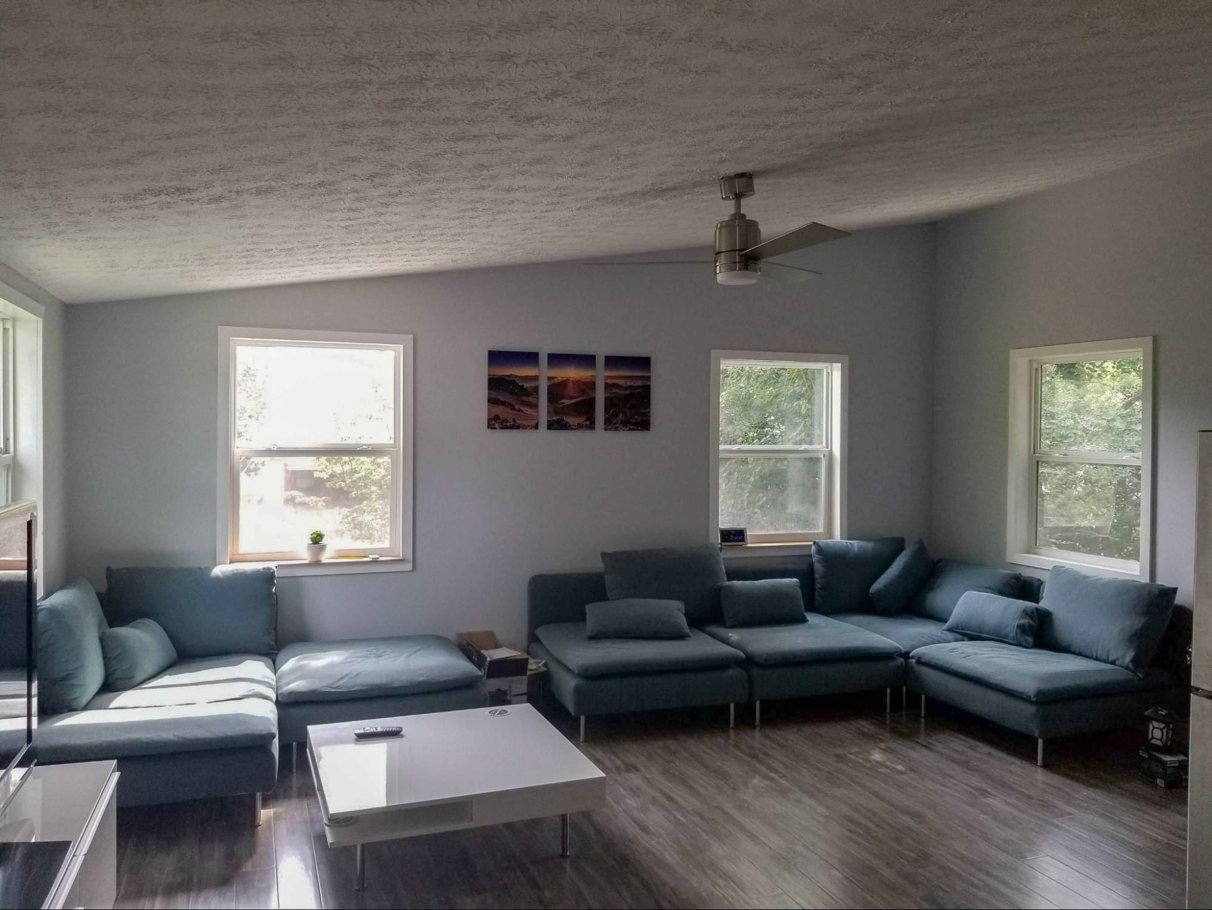 MSH 20180802 indoors finished Living Room PX