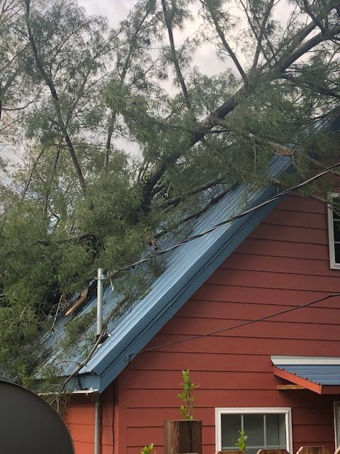Picture of a Mighty Small Home after a tree fall