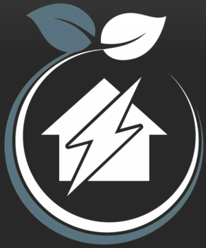 Icon image of home with an electrical symbol inside leafy circle