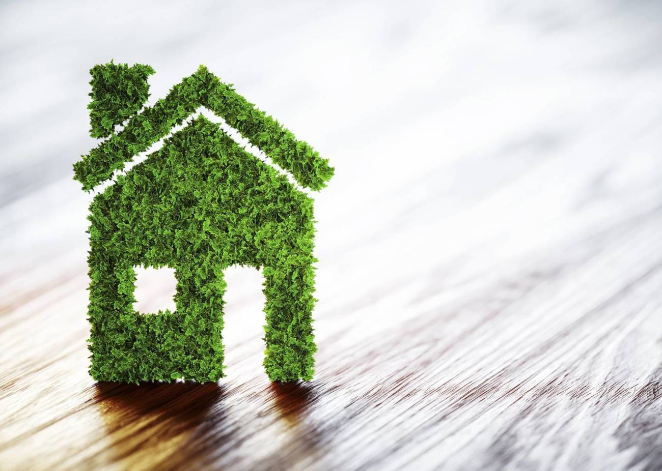 Image of a house made of green leaves demonstrating sustainability