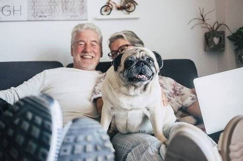 retirees with pug dog in a small home