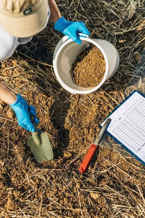 photo of person doing soil testing